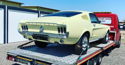 MUSTANG