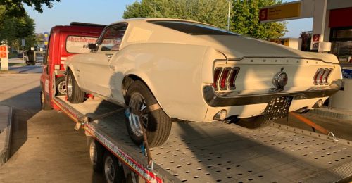mustang